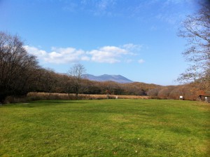 IMG_1220